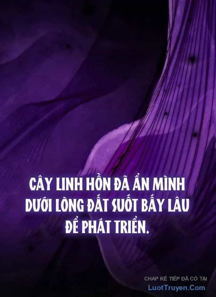 Pháp Sư Thiên Tài Phá Vỡ Giới Hạn - Chương 38 - ảnh 29