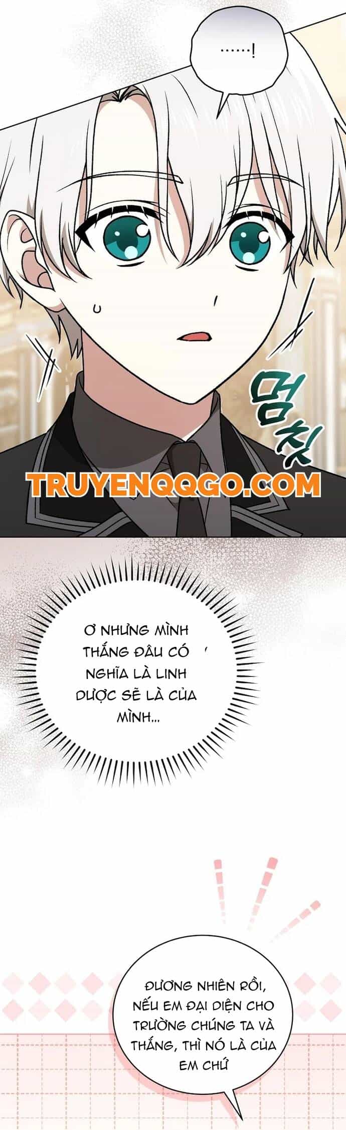 Pháp Sư Thiên Tài Thấu Triệt Khái Niệm - Chương 19 - ảnh 33