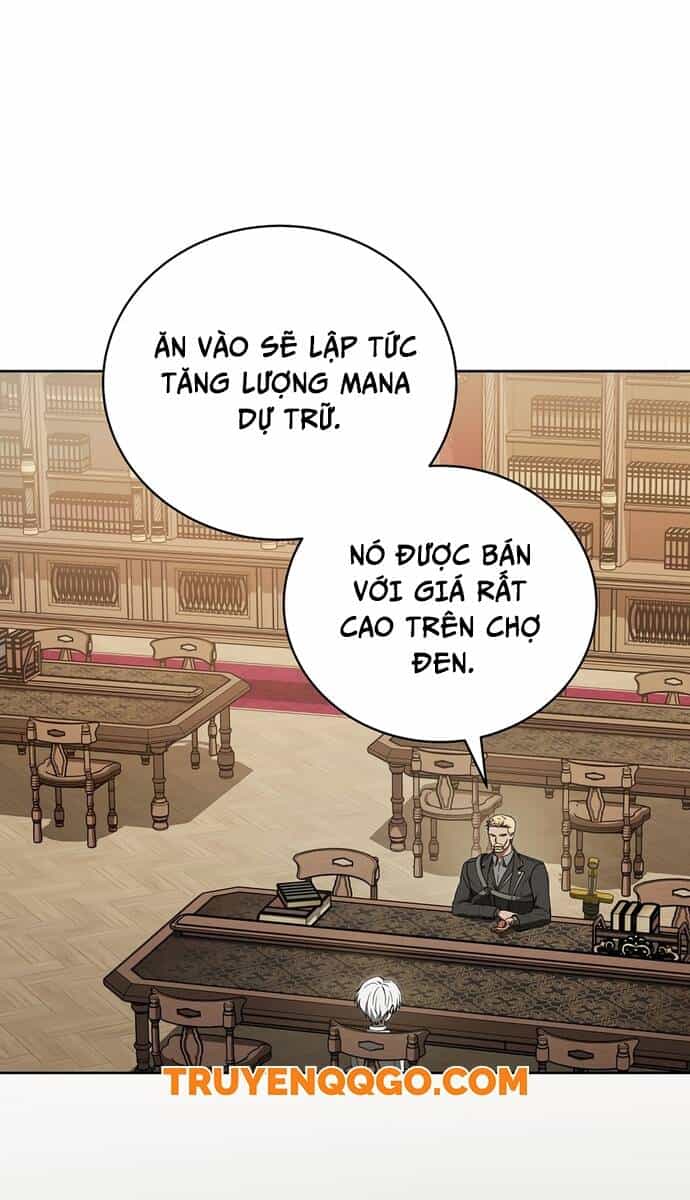 Pháp Sư Thiên Tài Thấu Triệt Khái Niệm - Chương 8 - ảnh 30