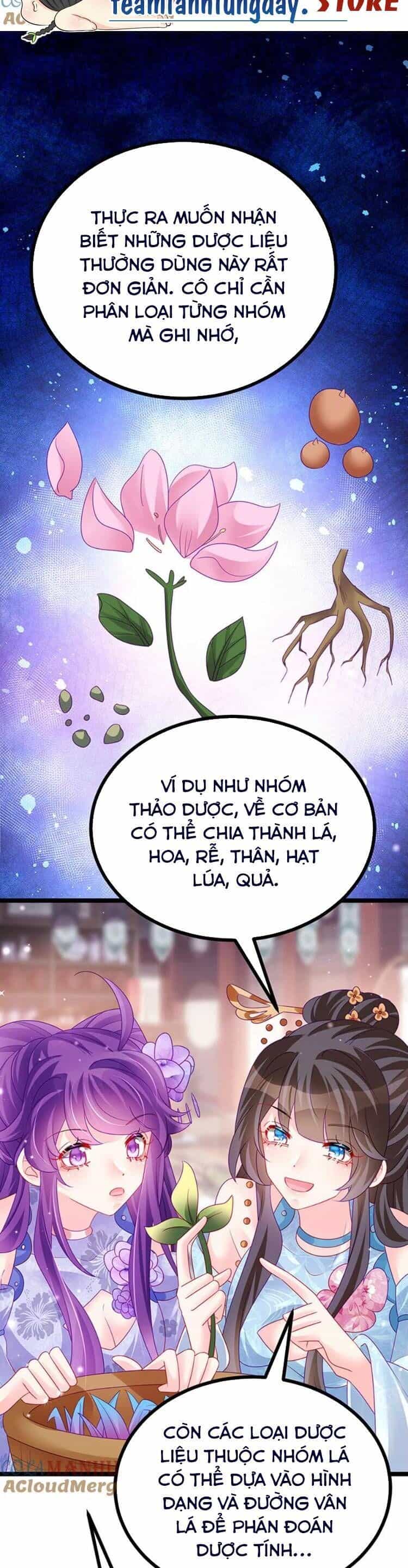 Phế Sài Tiểu Thư Muốn Nghịch Thiên Cải Mệnh - Chương 148 - ảnh 17