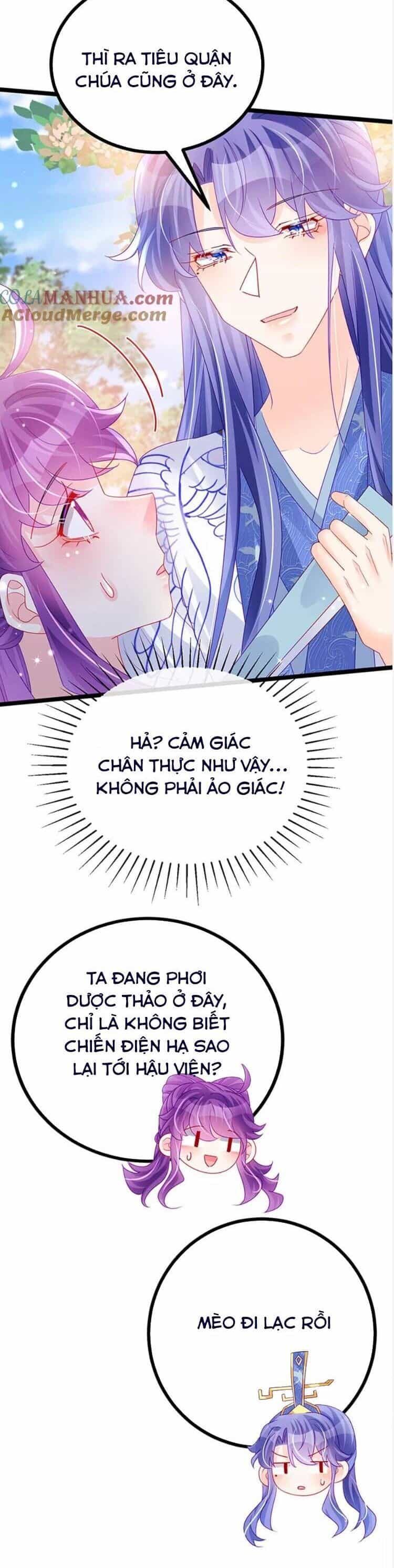 Phế Sài Tiểu Thư Muốn Nghịch Thiên Cải Mệnh - Chương 148 - ảnh 27