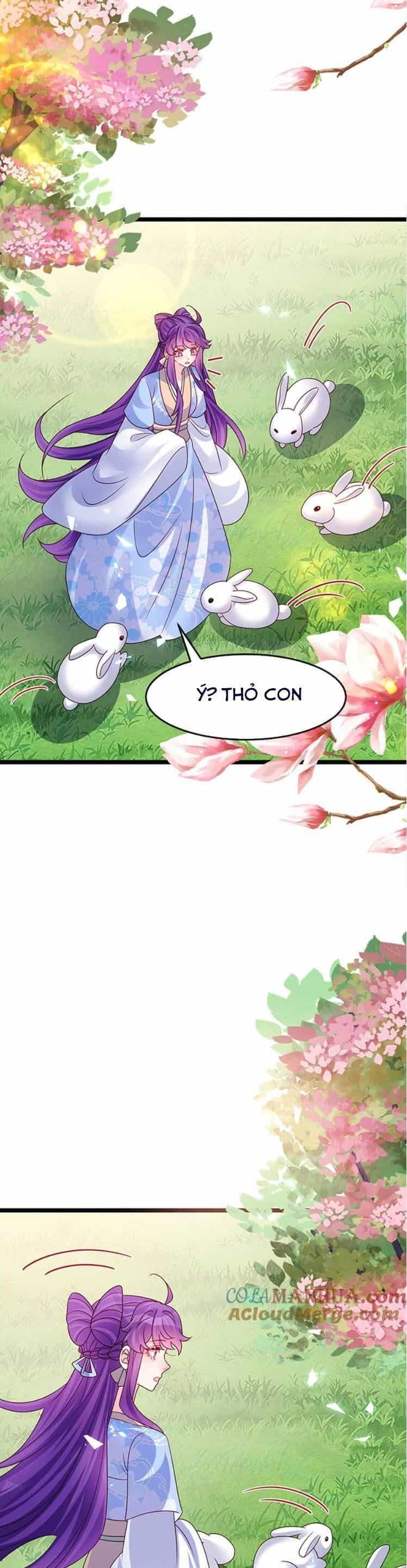 Phế Sài Tiểu Thư Muốn Nghịch Thiên Cải Mệnh - Chương 198 - ảnh 13