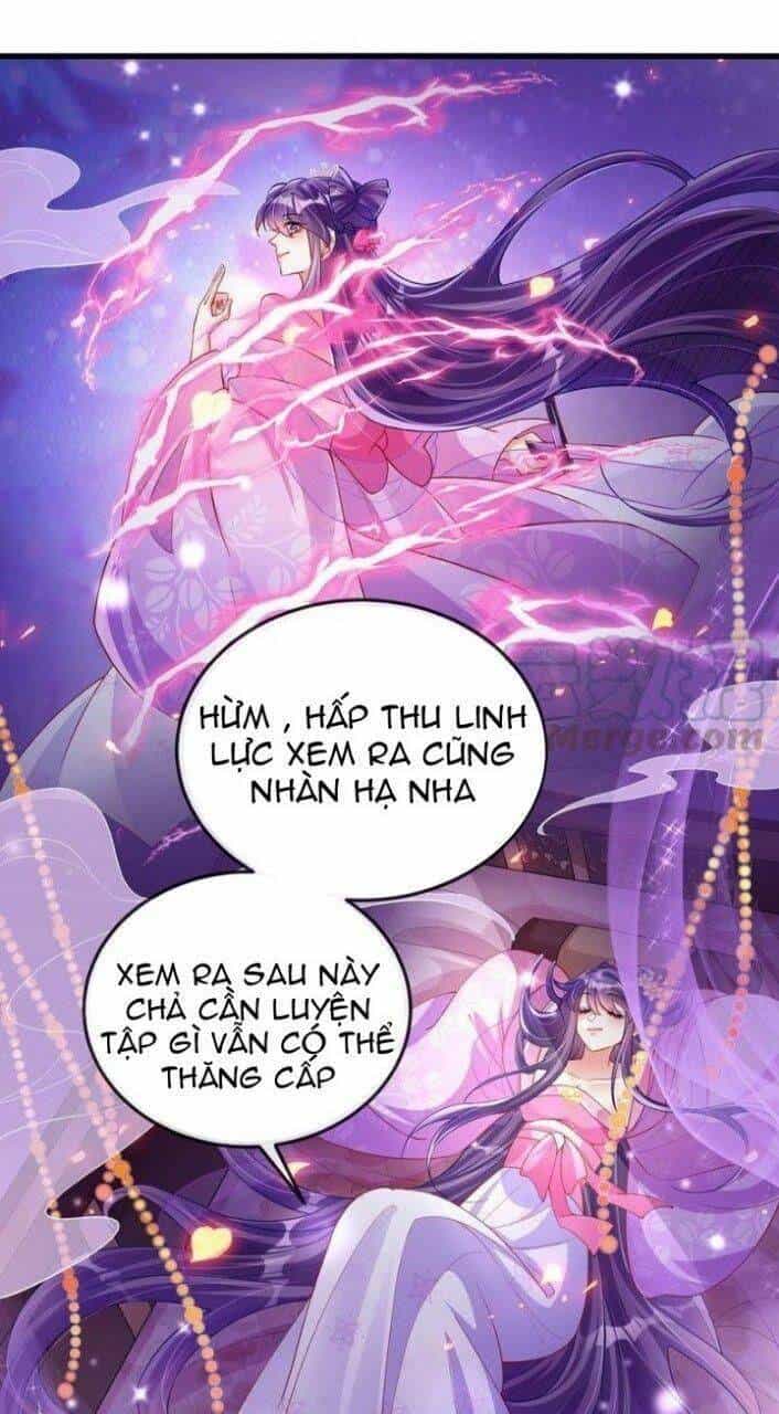 Phế Sài Tiểu Thư Muốn Nghịch Thiên Cải Mệnh - Chương 22 - ảnh 1