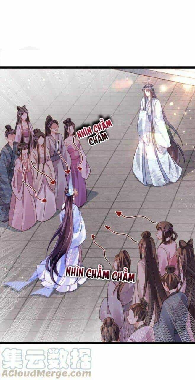 Phế Sài Tiểu Thư Muốn Nghịch Thiên Cải Mệnh - Chương 26 - ảnh 8
