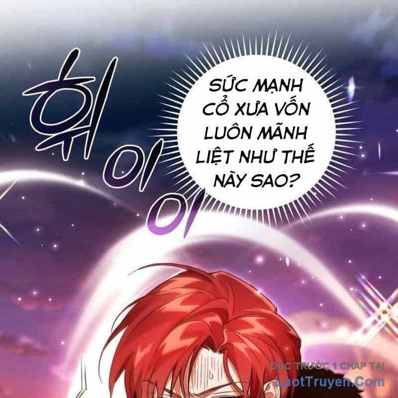 Phế Vật Dòng Dõi Bá Tước - Chương 165 - ảnh 29