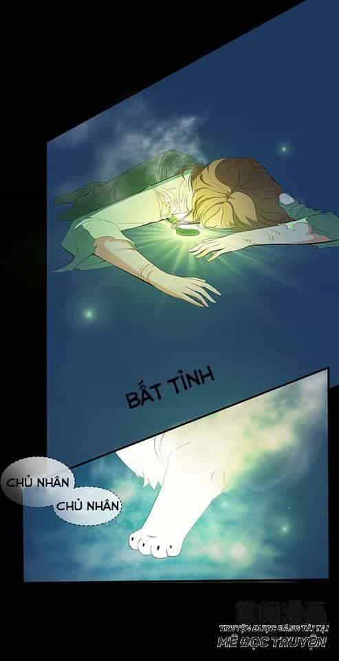 Phế Vật Nghịch Tập Triệu Hoán Sư - Chương 2 - ảnh 16