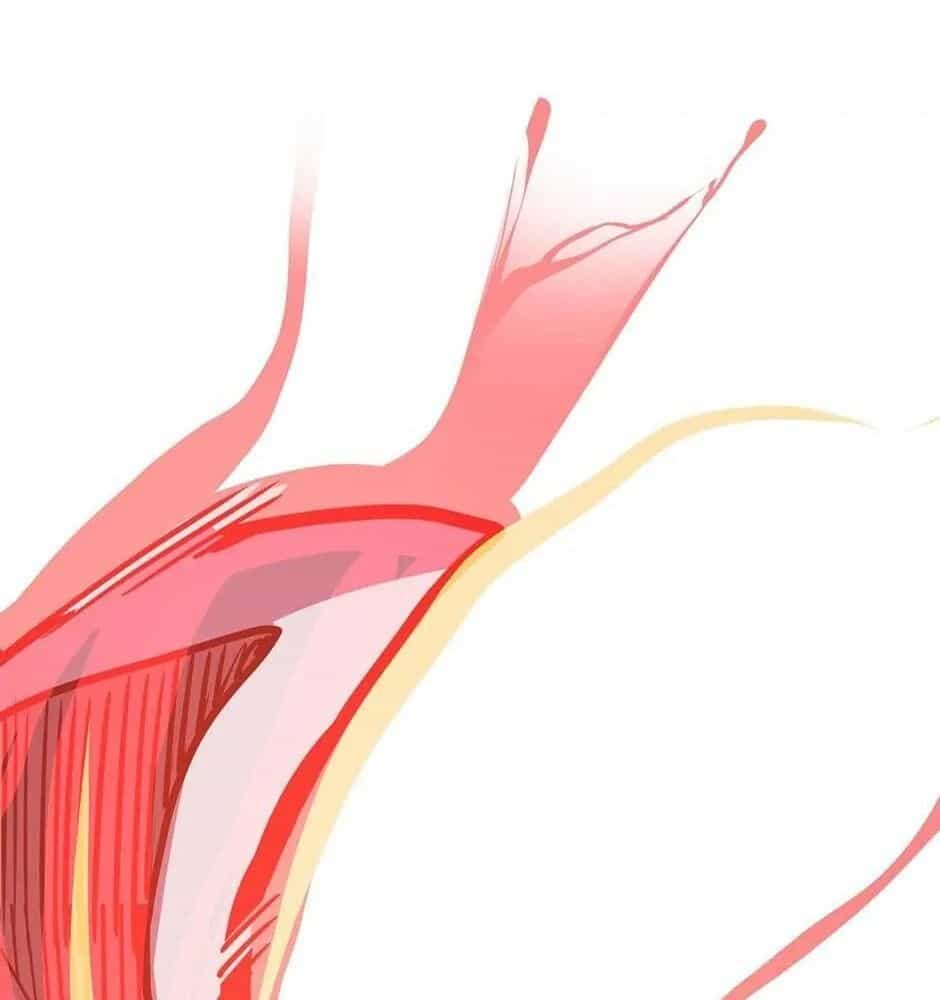 Phép Thuật Của Người Trở Về Phải Đặc Biệt - Chương 60 - ảnh 24