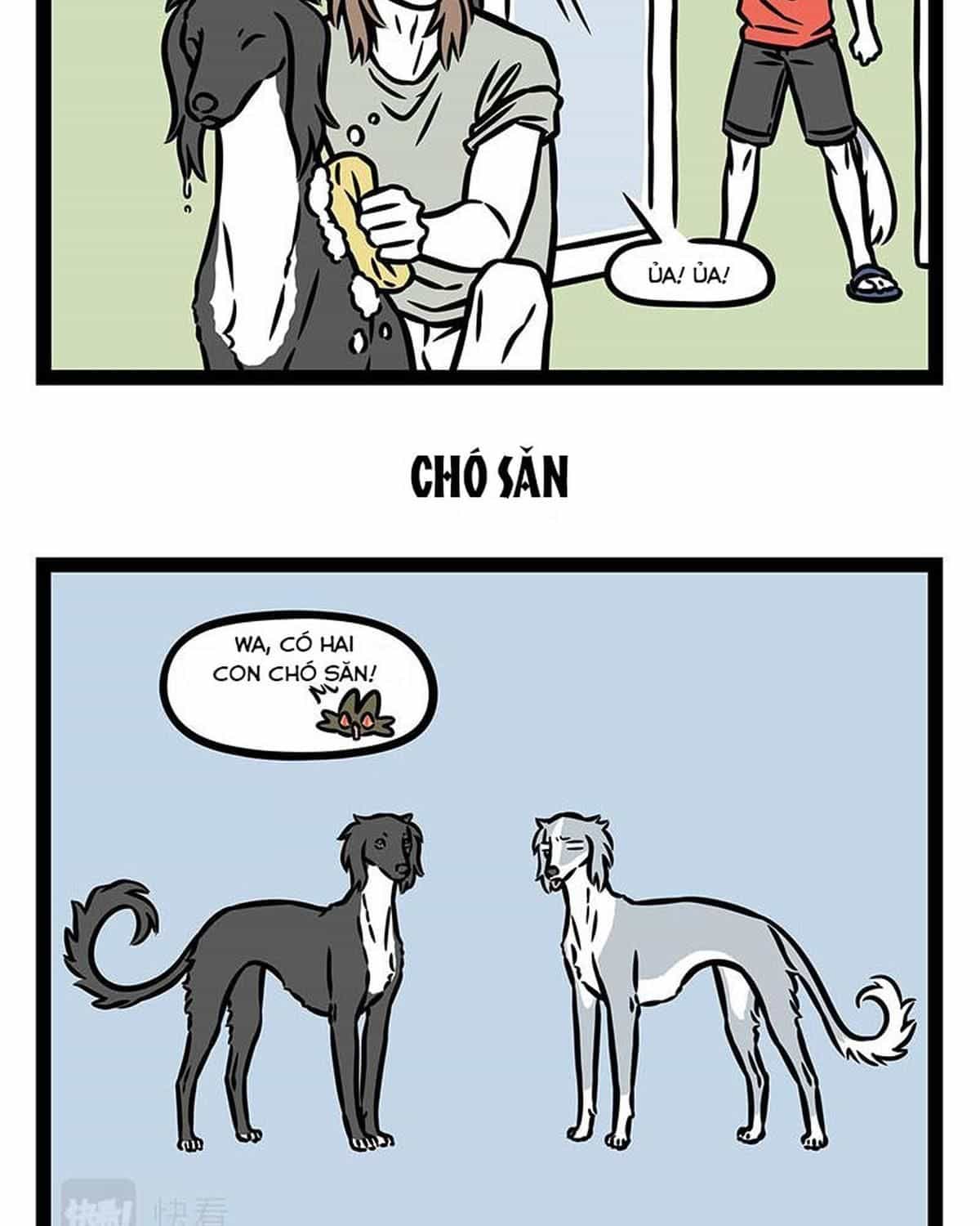 Phi Nhân - Chương 355 - ảnh 10