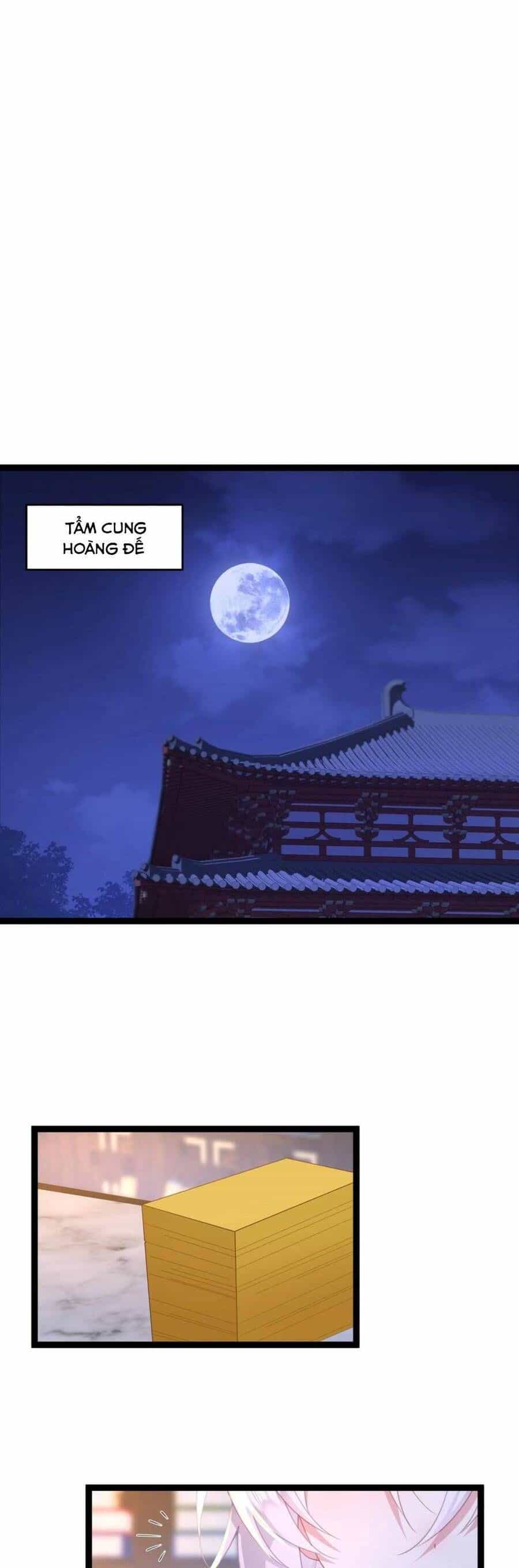 Phơi Bày Thân Phận Nữ Của Hoàng Đế - Chương 11 - ảnh 28