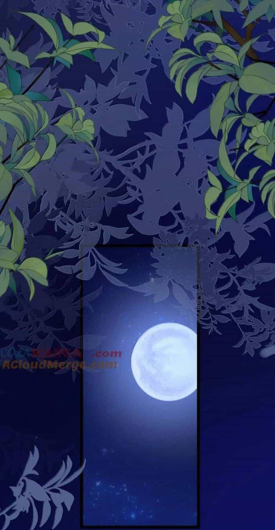 Phơi Bày Thân Phận Nữ Của Hoàng Đế - Chương 21 - ảnh 3