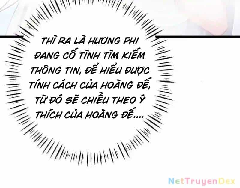 Phơi Bày Thân Phận Nữ Của Hoàng Đế - Chương 23 - ảnh 56