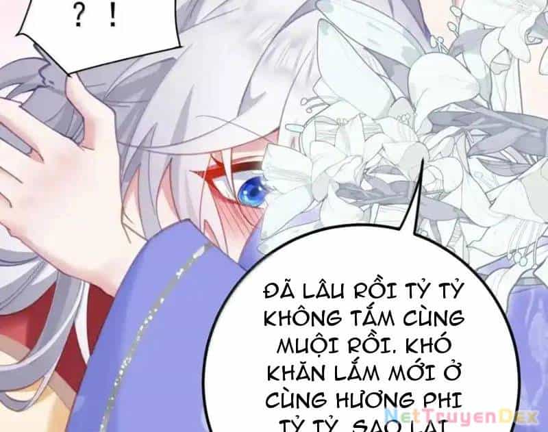 Phơi Bày Thân Phận Nữ Của Hoàng Đế - Chương 23 - ảnh 8