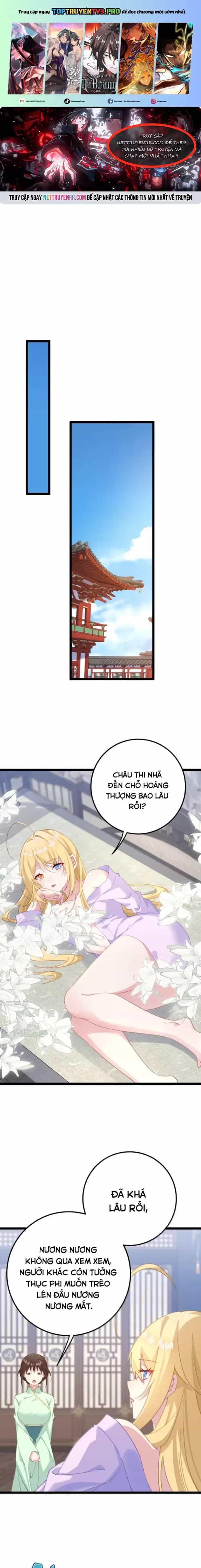 Phơi Bày Thân Phận Nữ Của Hoàng Đế - Chương 39 - ảnh 2