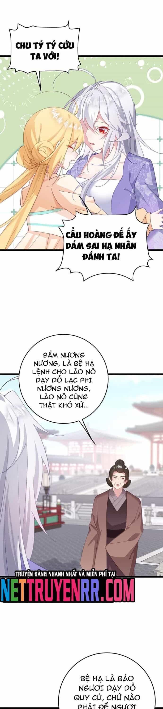 Phơi Bày Thân Phận Nữ Của Hoàng Đế - Chương 48 - ảnh 8