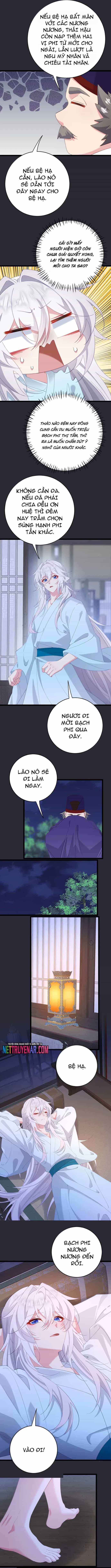 Phơi Bày Thân Phận Nữ Của Hoàng Đế - Chương 65 - ảnh 4