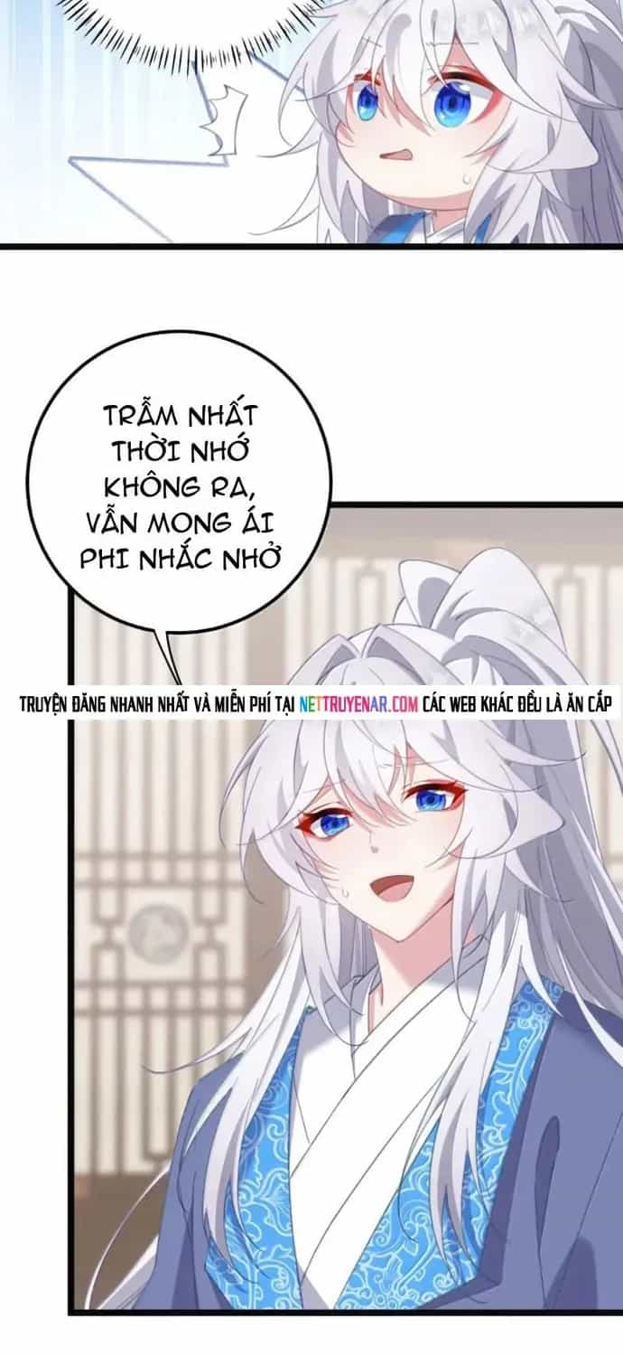 Phơi Bày Thân Phận Nữ Của Hoàng Đế - Chương 84 - ảnh 17