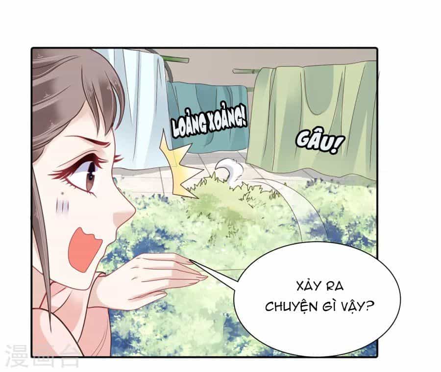 Phú Bà Bạc Tỷ Trong Lãnh Cung - Chương 11 - ảnh 15