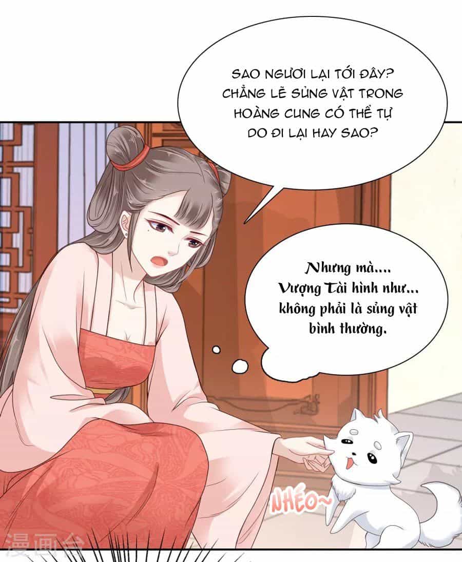 Phú Bà Bạc Tỷ Trong Lãnh Cung - Chương 11 - ảnh 7