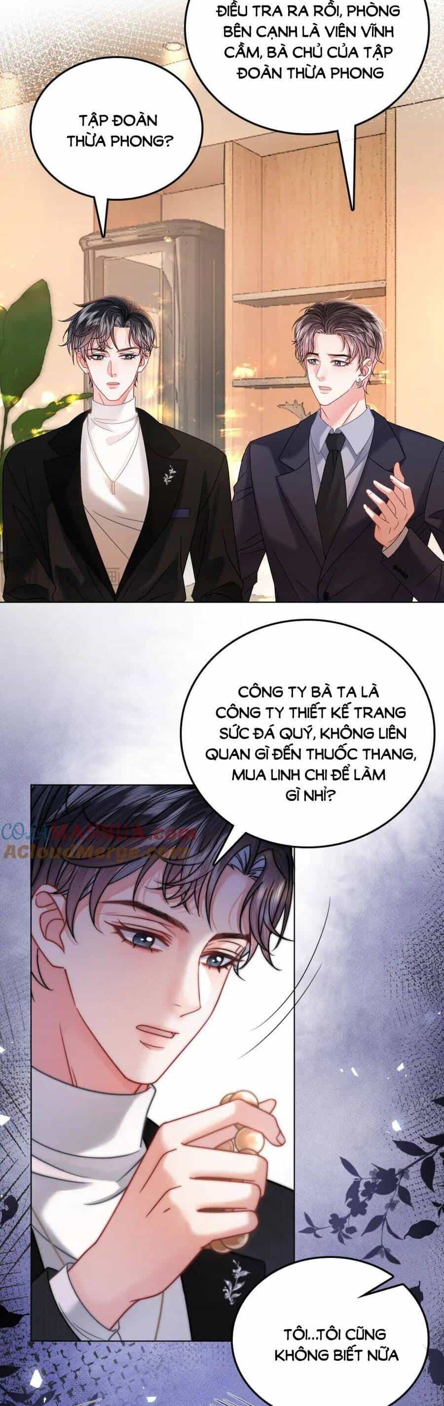 Phu Nhân Con Cờ Của Người Lại Chấn Động Cả Thành Rồi - Chương 11 - ảnh 11