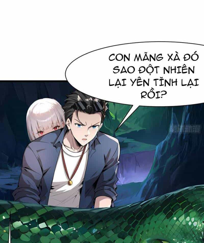 Phu Nhân Nhà Ta Đến Từ Địa Phủ Ngàn Năm - Chương 116 - ảnh 40