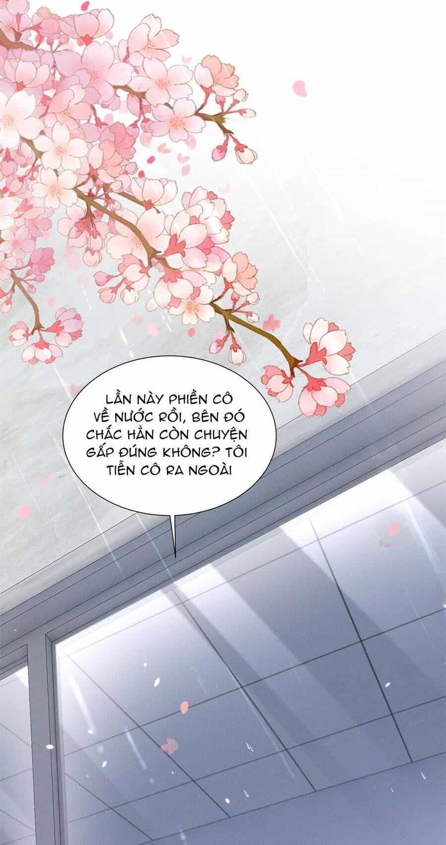 Phu Nhân, Thân Phận Của Người Lộ Rồi - Chương 51 - ảnh 7