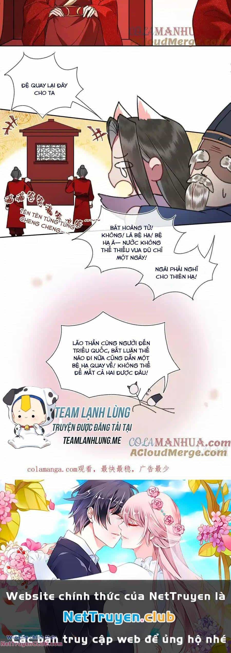 Phu Quân, Làm Ơn Để Ta Yên! - Chương 84 - ảnh 9