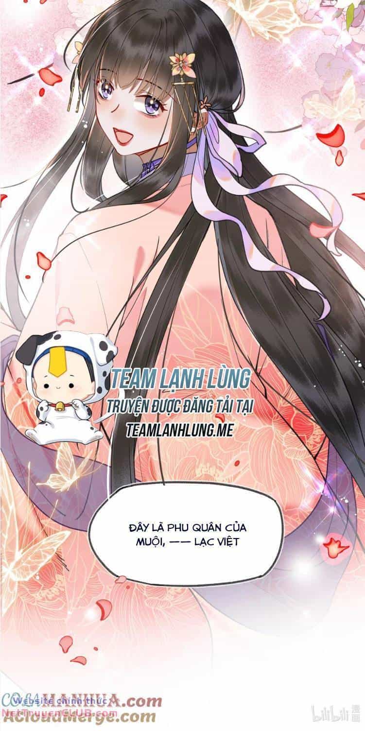 Phu Quân, Làm Ơn Để Ta Yên! - Chương 91 - ảnh 15