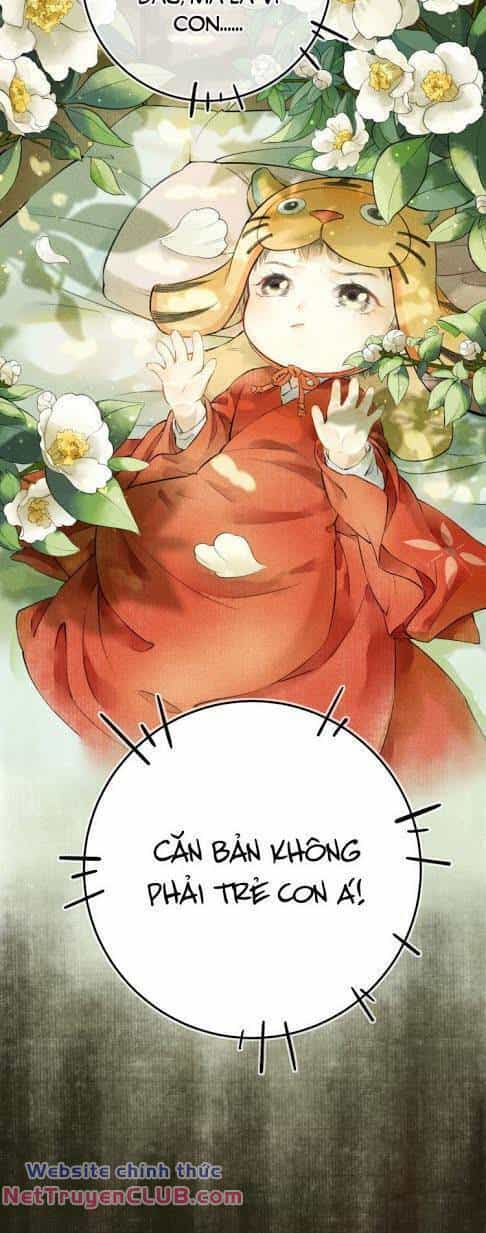 Phu Quân Ta Nuôi Từ Bé Muốn Thủ Tiêu Ta - Chương 1 - ảnh 5