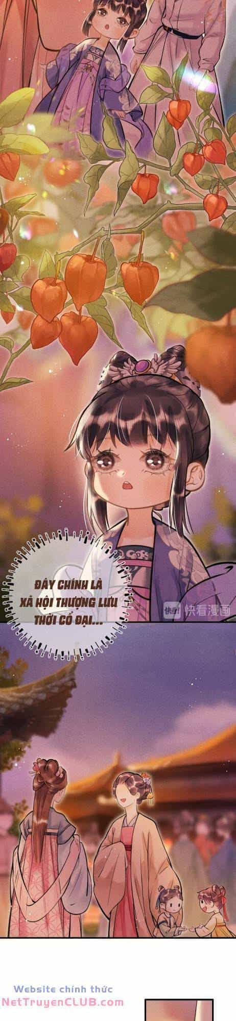 Phu Quân Ta Nuôi Từ Bé Muốn Thủ Tiêu Ta - Chương 13 - ảnh 7