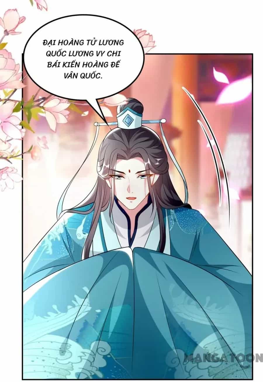 Phúc Hắc Vương Gia Đừng Làm Loạn - Chương 165 - ảnh 4