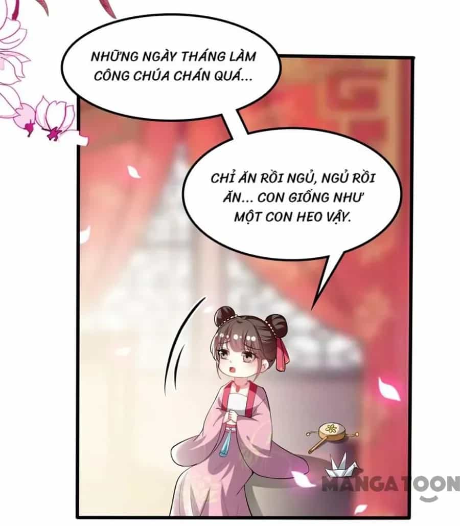 Phúc Hắc Vương Gia Đừng Làm Loạn - Chương 202 - ảnh 31
