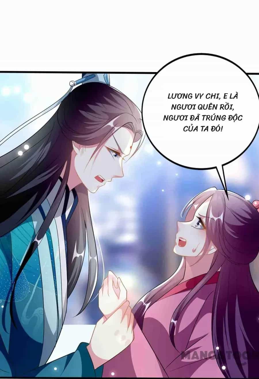 Phúc Hắc Vương Gia Đừng Làm Loạn - Chương 216 - ảnh 27