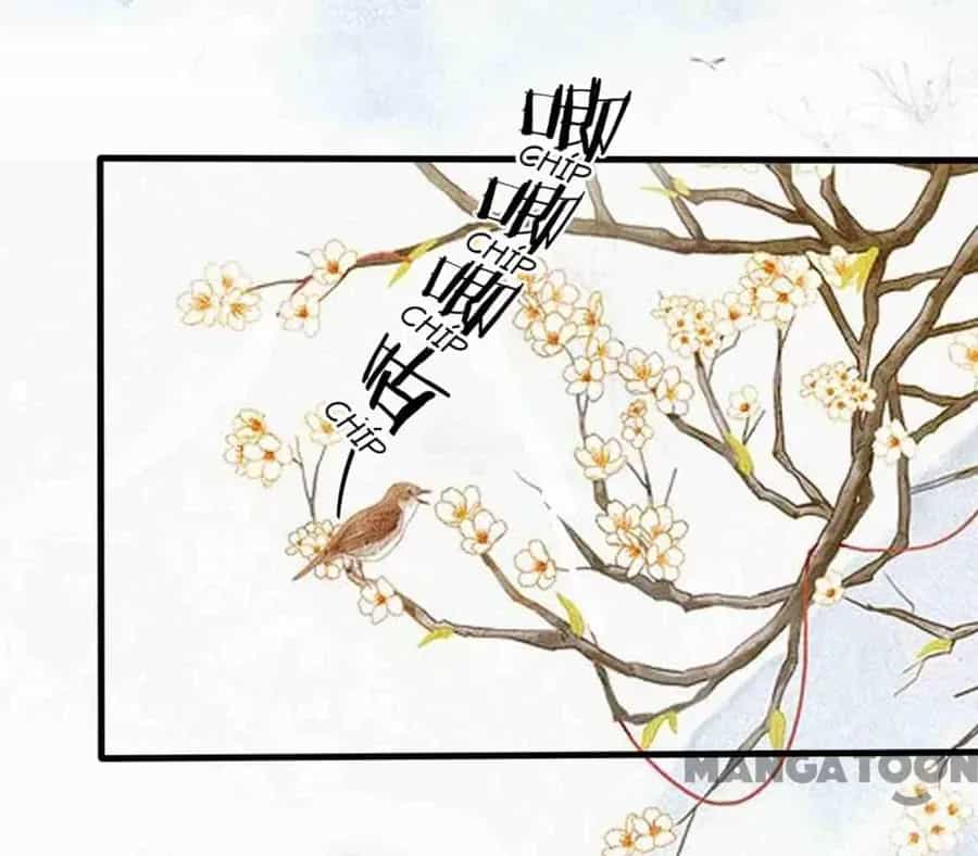 Phúc Hắc Vương Gia Đừng Làm Loạn - Chương 222 - ảnh 2