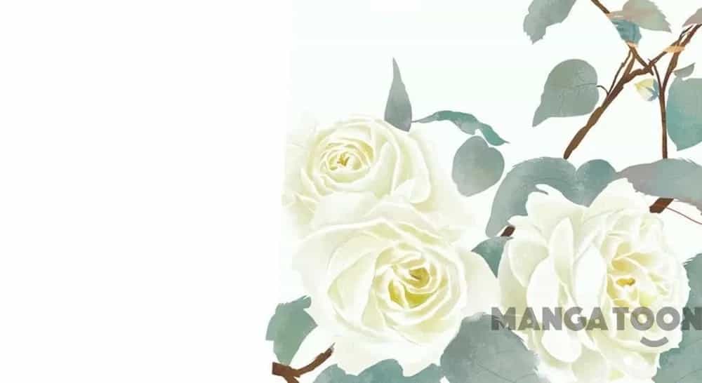 Phúc Hắc Vương Gia Đừng Làm Loạn - Chương 253 - ảnh 33