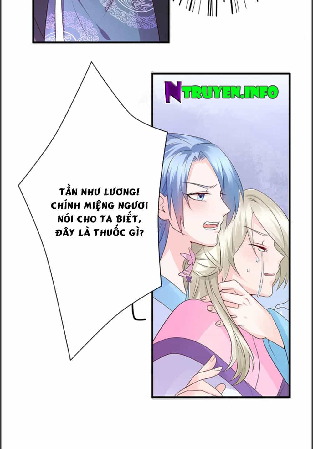 Phượng Hoàng Ngàn Năm - Chương 13 - ảnh 8