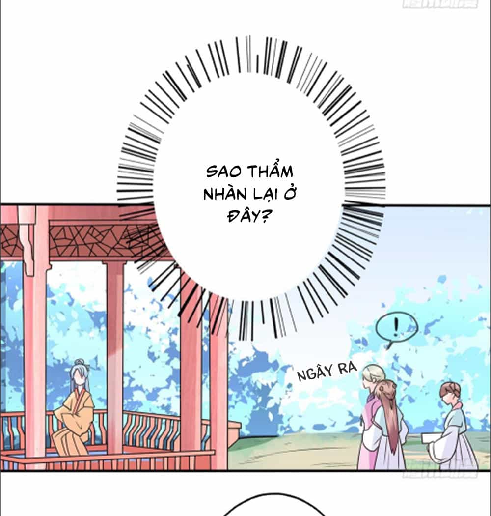 Phượng Hoàng Ngàn Năm - Chương 19 - ảnh 24