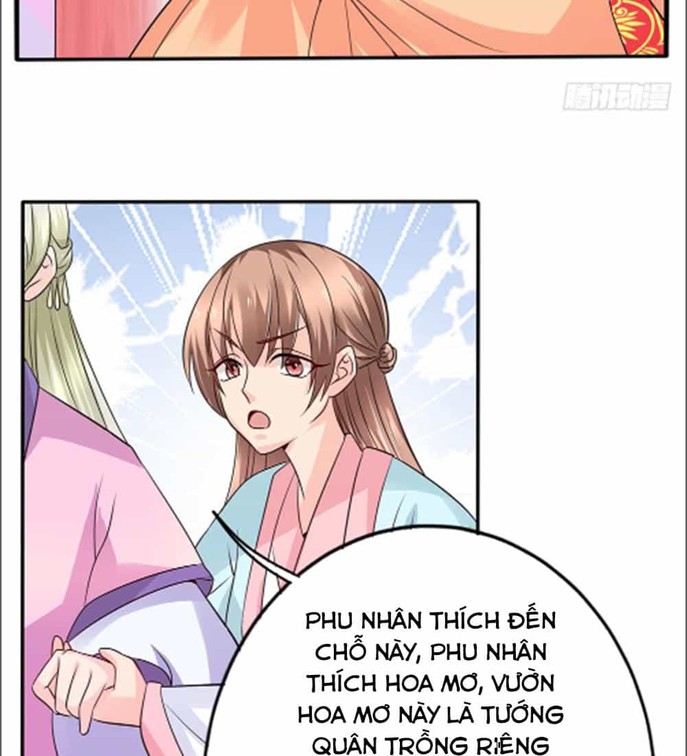 Phượng Hoàng Ngàn Năm - Chương 19 - ảnh 28