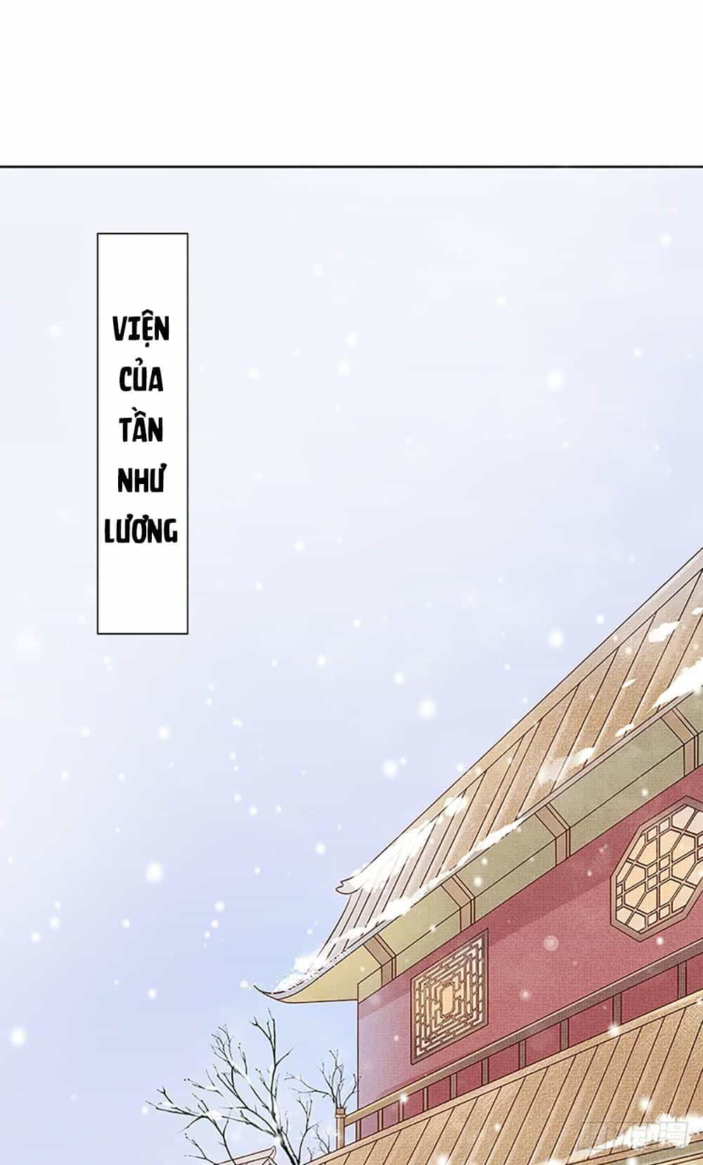 Phượng Hoàng Ngàn Năm - Chương 2 - ảnh 17