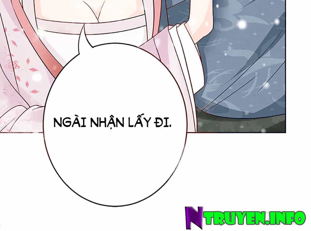 Phượng Hoàng Ngàn Năm - Chương 2 - ảnh 25