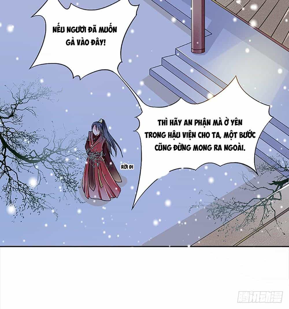 Phượng Hoàng Ngàn Năm - Chương 2 - ảnh 8