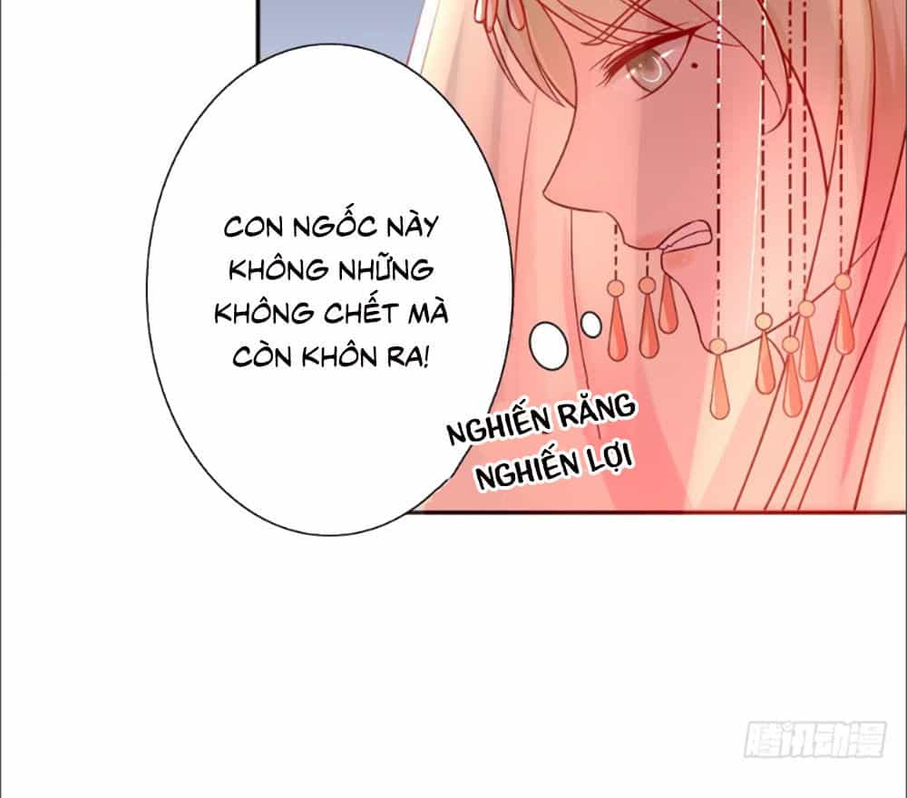 Phượng Hoàng Ngàn Năm - Chương 7 - ảnh 13