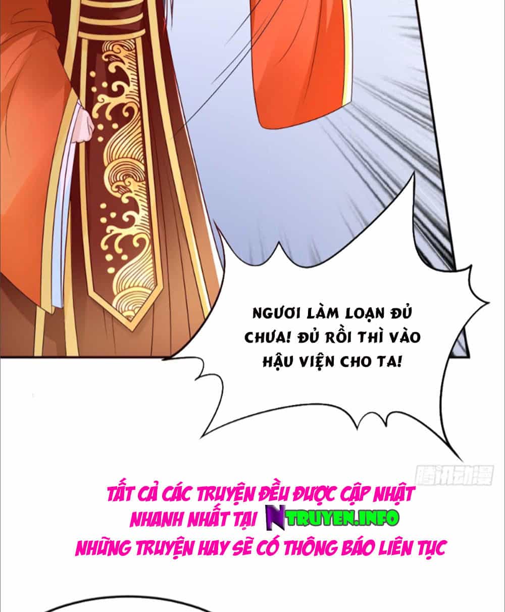 Phượng Hoàng Ngàn Năm - Chương 7 - ảnh 39