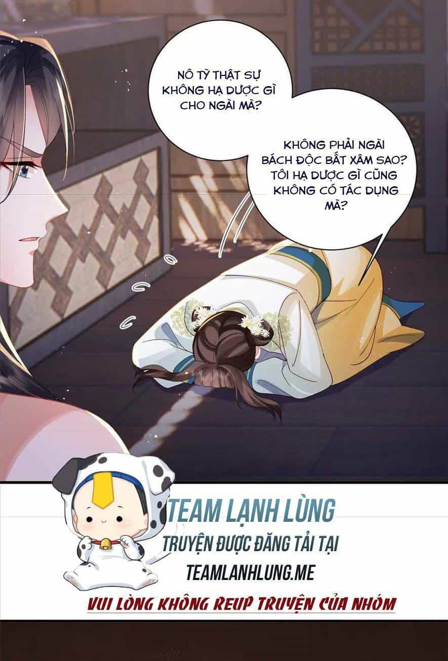 Phượng Hoàng Quy Hồi - Chương 10 - ảnh 5