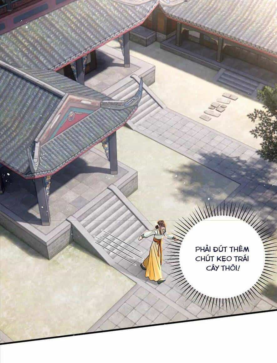 Phượng Hoàng Quy Hồi - Chương 11 - ảnh 18