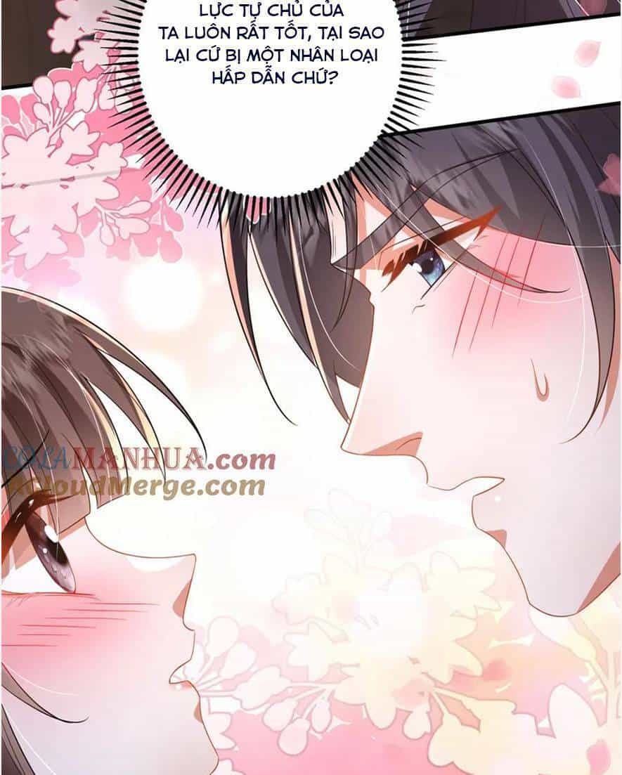 Phượng Hoàng Quy Hồi - Chương 16 - ảnh 26