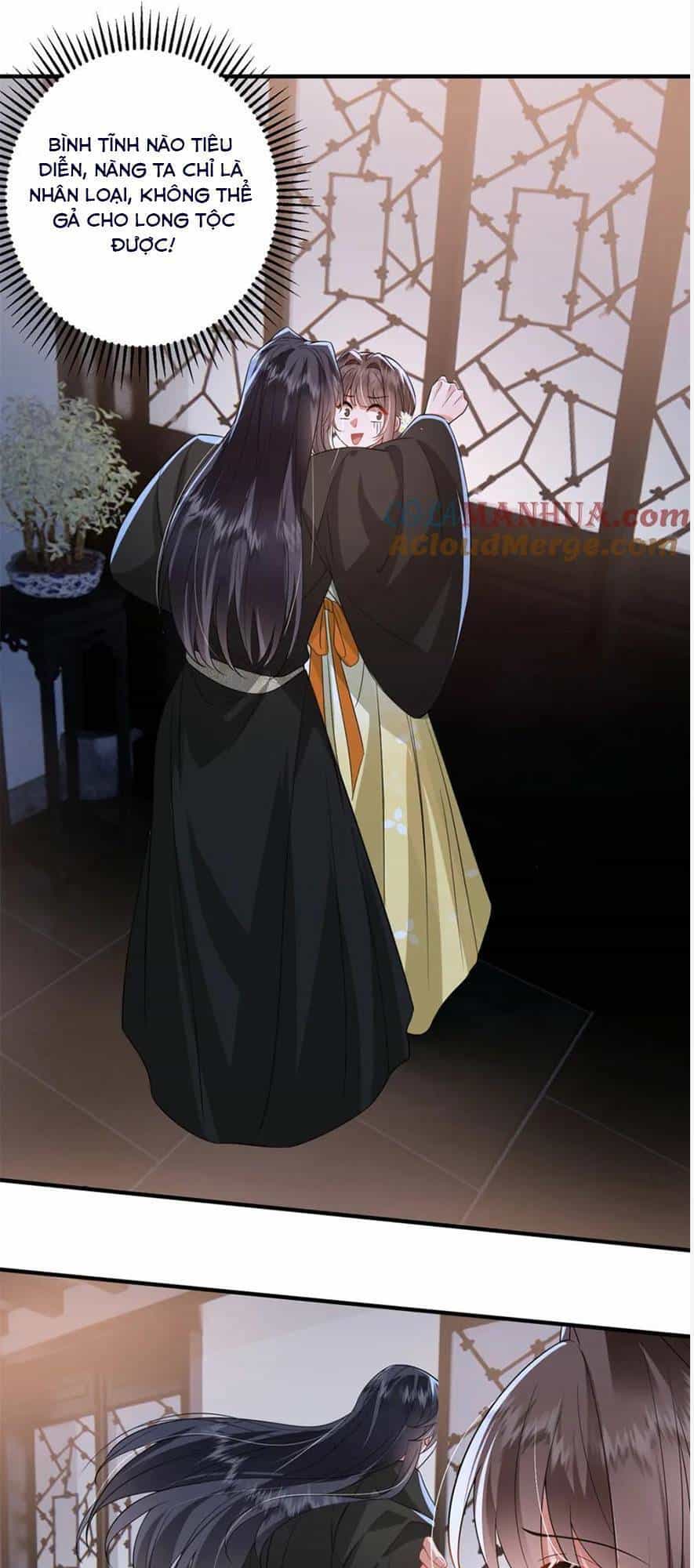 Phượng Hoàng Quy Hồi - Chương 16 - ảnh 28