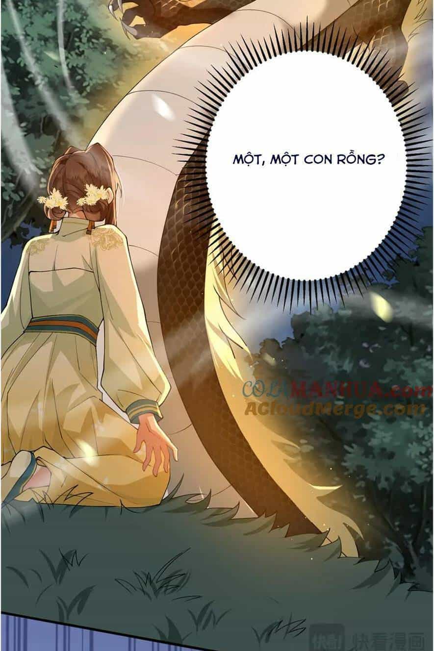Phượng Hoàng Quy Hồi - Chương 17 - ảnh 28