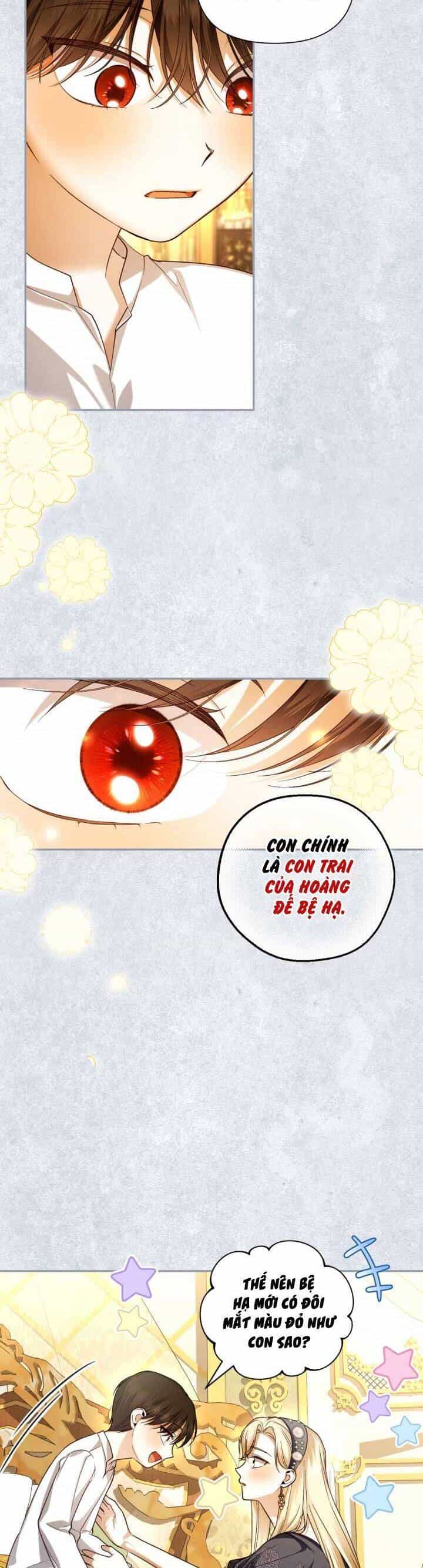 Phương Pháp Che Giấu Đứa Con Của Hoàng Đế - Chương 67 - ảnh 17