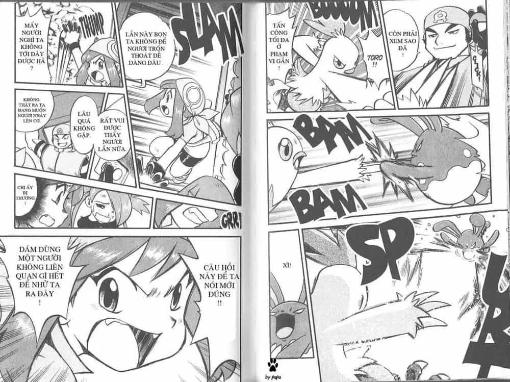 Pokemon Special - Chương 211.1 - ảnh 14