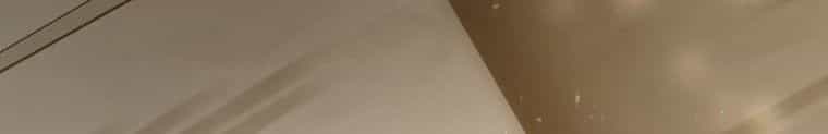 Quái Thú Bị Thuần Hóa Bởi Ác Nữ - Chương 10 - ảnh 250